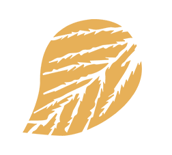 Logo der Pfad des Lebens