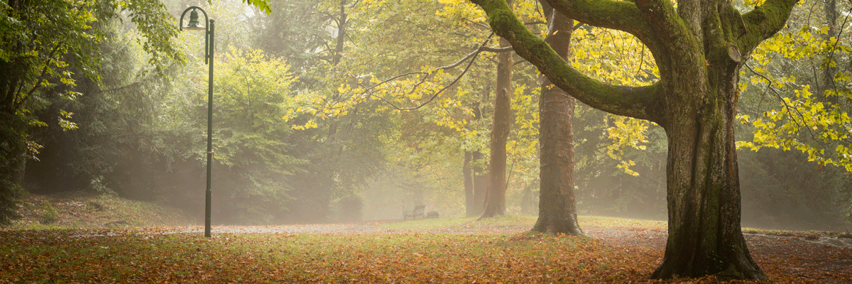 Kurpark Bad Gleichenberg